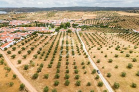 Terreno R�stico T0 - Amieira, Portel, �vora - Miniatura: 19/21