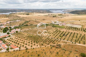 Terreno R�stico T0 - Amieira, Portel, �vora - Miniatura: 20/21