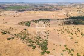 Terreno R�stico T0 - Reguengos de Monsaraz, Reguengos de Monsaraz, �vora - Miniatura: 12/22