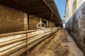 Quinta > T6 - Bacelo, �vora, �vora - Miniatura: 28/60
