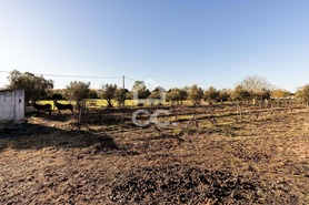 Quinta > T6 - Bacelo, �vora, �vora - Miniatura: 40/60