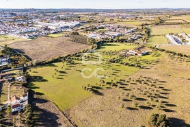 Quinta > T6 - Bacelo, �vora, �vora - Miniatura: 57/60