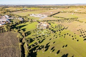 Quinta > T6 - Bacelo, �vora, �vora - Miniatura: 60/60