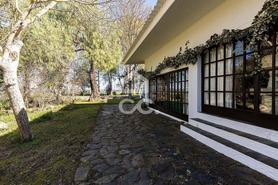 Quinta - N�o Definido, N�o Definido, N�o Definido - Miniatura: 43/109