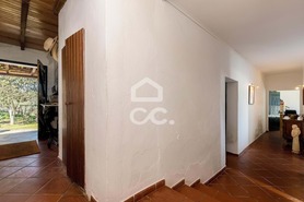 Quinta - N�o Definido, N�o Definido, N�o Definido - Miniatura: 55/109