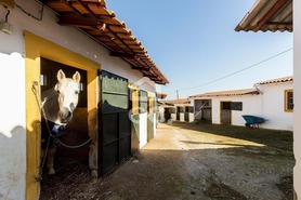 Quinta - N�o Definido, N�o Definido, N�o Definido - Miniatura: 61/109