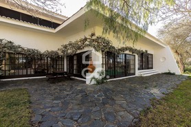 Quinta - N�o Definido, N�o Definido, N�o Definido - Miniatura: 76/109
