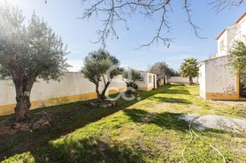 Quinta T5 - S�o Br�s e S�o Louren�o, Elvas, Portalegre - Miniatura: 81/93