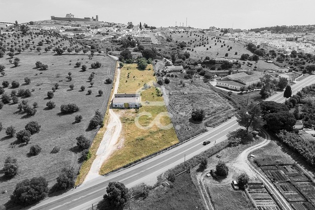 Quinta T3 - Arraiolos, Arraiolos, �vora - Imagem grande