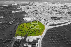 Terreno R�stico T0 - Redondo, Redondo, �vora