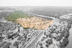 Terreno R�stico T4 - Serpa, Serpa, Beja - Miniatura: 1/70