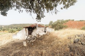 Terreno R�stico T4 - Serpa, Serpa, Beja - Miniatura: 20/70