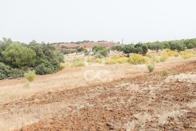 Terreno R�stico T4 - Serpa, Serpa, Beja - Miniatura: 49/70