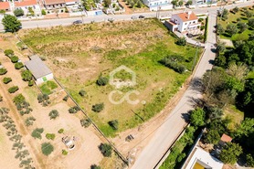 Terreno R�stico T0 - Redondo, Redondo, �vora - Miniatura: 3/34