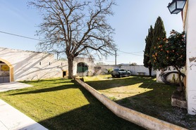 Quinta T5 - S�o Br�s e S�o Louren�o, Elvas, Portalegre - Miniatura: 44/93