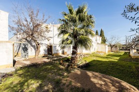 Quinta T5 - S�o Br�s e S�o Louren�o, Elvas, Portalegre - Miniatura: 65/93