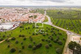 Terreno R�stico T0 - Redondo, Redondo, �vora - Miniatura: 1/23