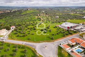 Terreno R�stico T0 - Redondo, Redondo, �vora - Miniatura: 3/23