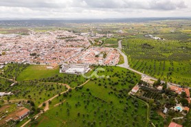 Terreno R�stico T0 - Redondo, Redondo, �vora - Miniatura: 6/23