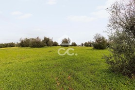 Terreno R�stico T0 - Redondo, Redondo, �vora - Miniatura: 9/23