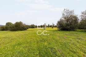 Terreno R�stico T0 - Redondo, Redondo, �vora - Miniatura: 10/23