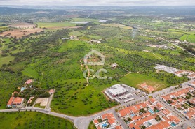 Terreno R�stico T0 - Redondo, Redondo, �vora - Miniatura: 12/23