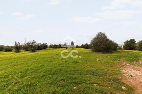Terreno R�stico T0 - Redondo, Redondo, �vora - Miniatura: 16/23