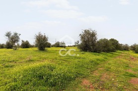 Terreno R�stico T0 - Redondo, Redondo, �vora - Miniatura: 17/23