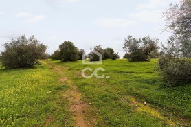Terreno R�stico T0 - Redondo, Redondo, �vora - Miniatura: 18/23