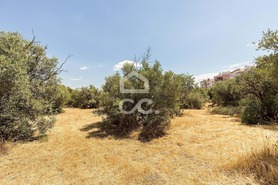 Terreno R�stico T0 - N�o Definido, N�o Definido, N�o Definido - Miniatura: 16/18