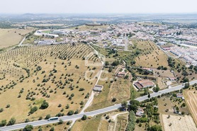 Quinta T3 - Arraiolos, Arraiolos, �vora - Miniatura: 46/46