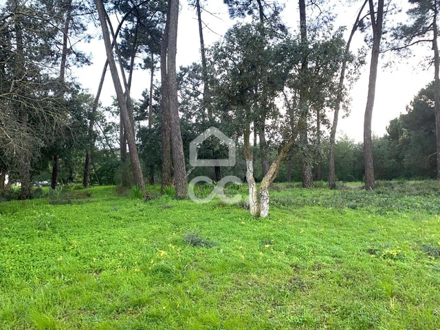 Terreno R�stico T0 - Santo Ant�nio da Charneca, Barreiro, Set�bal - Imagem grande