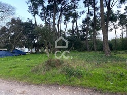 Terreno R�stico T0 - Santo Ant�nio da Charneca, Barreiro, Set�bal - Miniatura: 1/3