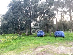 Terreno R�stico T0 - Santo Ant�nio da Charneca, Barreiro, Set�bal - Miniatura: 3/3