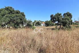 Terreno Rstico T0 - Quinta do Conde, Sesimbra, Setbal - Miniatura: 7/11