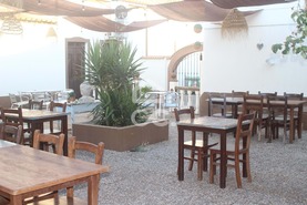 Loja T0 - Amareleja, Moura, Beja - Miniatura: 13/42