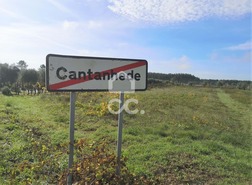 Terreno Rstico T0 - Cantanhede, Cantanhede, Coimbra - Miniatura: 4/7