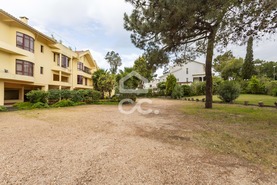 Apartamento T2 - Carvalhal, Gr�ndola, Set�bal - Miniatura: 49/74