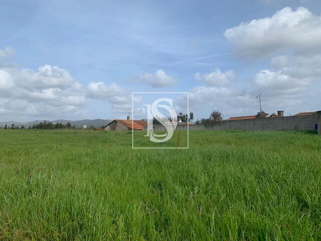 Terreno R�stico - Tamengos, Anadia, Aveiro - Imagem grande