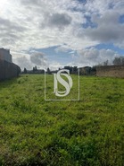 Terreno Rstico T0 - So Loureno do Bairro, Anadia, Aveiro
