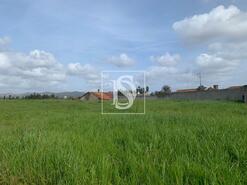 Terreno R�stico - Tamengos, Anadia, Aveiro