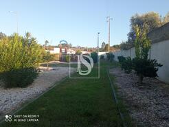 Terreno R�stico - Arcos, Anadia, Aveiro - Miniatura: 3/6
