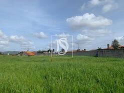 Terreno R�stico - Tamengos, Anadia, Aveiro - Miniatura: 1/4