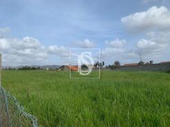 Terreno R�stico - Tamengos, Anadia, Aveiro - Miniatura: 2/4