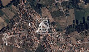 Terreno R�stico - Tamengos, Anadia, Aveiro - Miniatura: 4/4