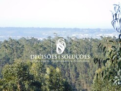 Terreno R�stico T0 - Luso, Mealhada, Aveiro - Miniatura: 2/6