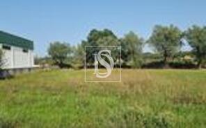 Terreno R�stico - Arcos, Anadia, Aveiro - Miniatura: 1/3