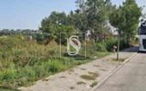 Terreno R�stico - Arcos, Anadia, Aveiro - Miniatura: 3/3