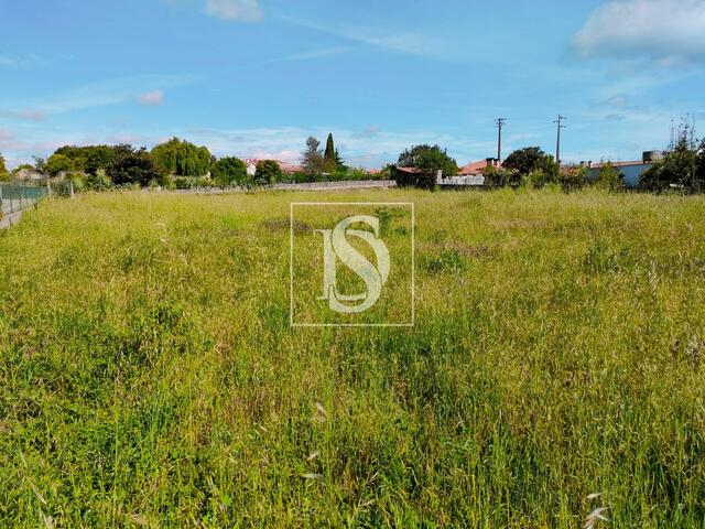 Terreno R�stico - Oi�, Oliveira do Bairro, Aveiro - Imagem grande