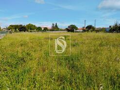 Terreno R�stico - Oi�, Oliveira do Bairro, Aveiro